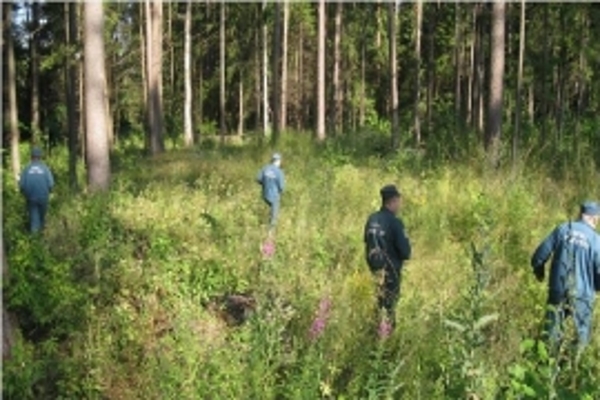 лес-дятьково