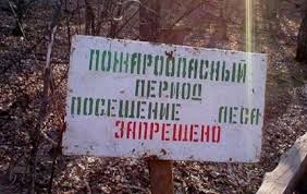 images 1
