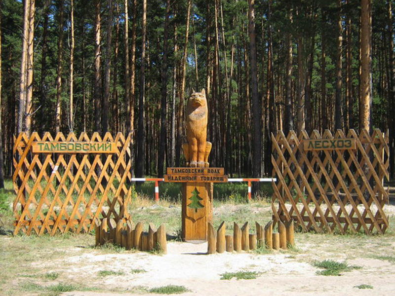 tambovskii volk