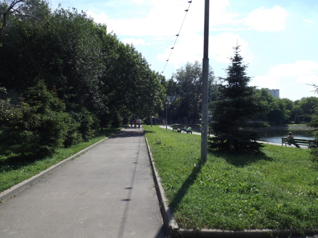 Парк «Торфянка». Противостояние продолжается - фото 4