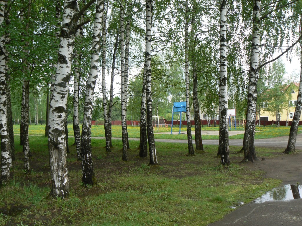 А как подсчитают?..        - фото 2