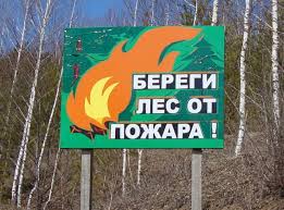 В лесах Ивановской области объявлено начало пожароопасного сезона - фото 1