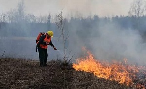 14 апреля в Тульской области состоялись  региональные учения по тушению лесных пожаров - фото 1