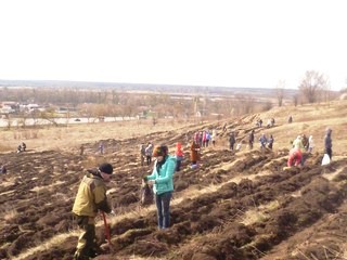 В Белгородской области состоялся областной экологический субботник - фото 1