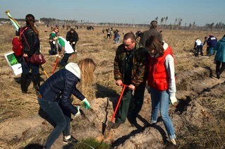 Всероссийский день посадки леса в Липецкой области - фото 1