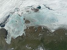  Великую Сибирскую полынью возьмут под охрану - фото 1