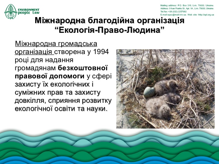 За последние 50 лет Одесская область утратила более 3 тыс. гектаров заповедных земель - фото 1