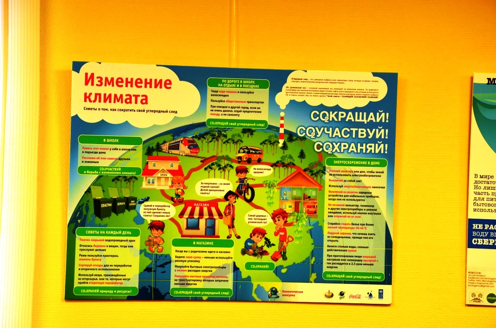 ОНФ о проблемах сбора и утилизации мусора в Московском регионе (ФОТО, ВИДЕО) - фото 7