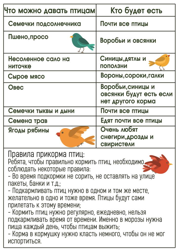  Пресс-релиз Кенозерского национального парка. Стартуют конкурсы в рамках акции «Покормите птиц» - фото 5