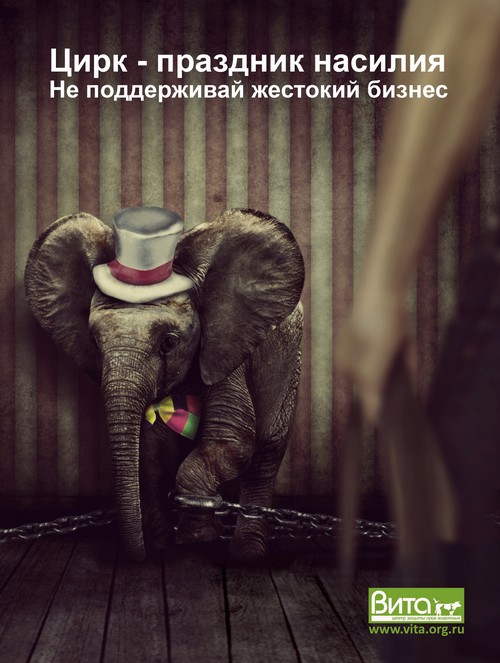  Международная и Всероссийская акция "За цирк без животных" - фото 1