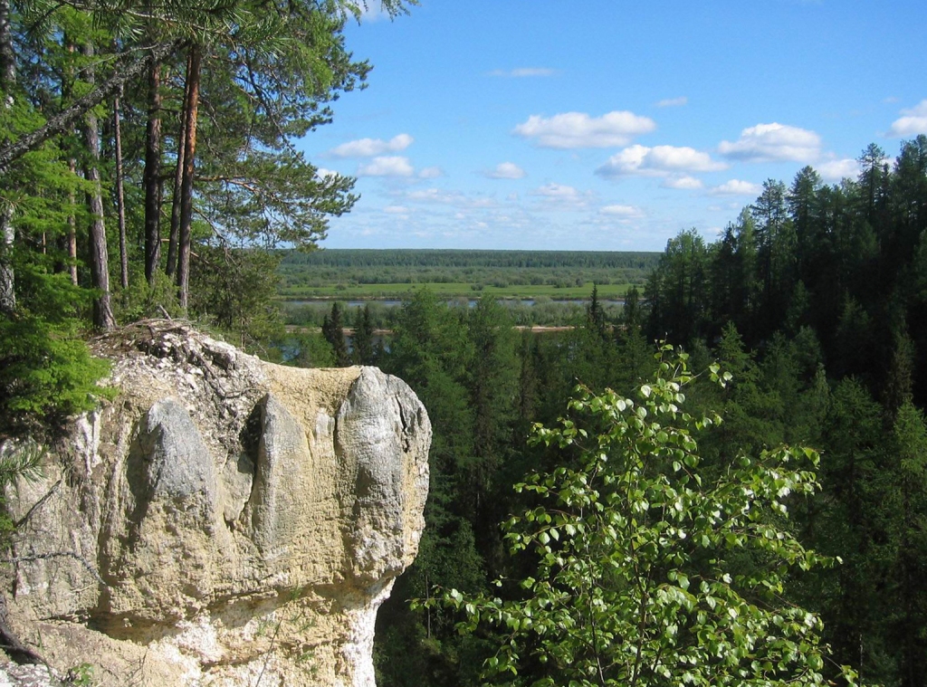 Двинском краю. Двинско-Пинежский Лесной массив (Архангельская область). Двинско-Пинежский заповедник в Архангельской области. Двинско-Пинежский Лесной массив животные. Дикая природа Архангельской области.