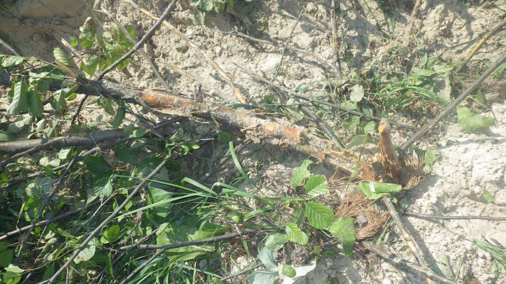  Нарушитель заповедного режима приговорен к условному сроку - фото 2