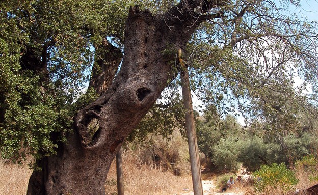 image002