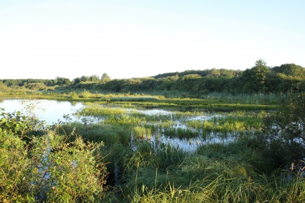 koposovo