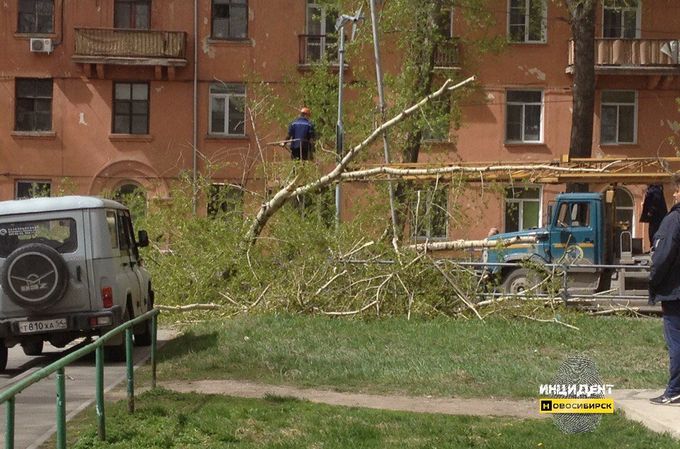 «Из дома выйти страшно!»: последствия урагана в Новосибирске - фото 4