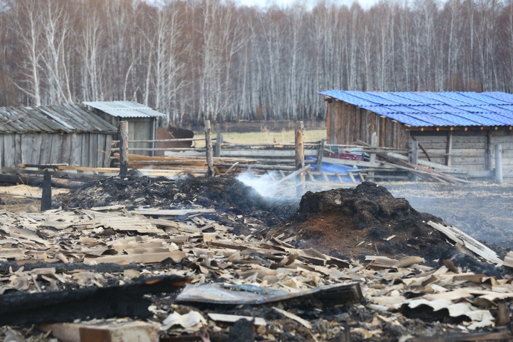 Власть и депутаты о помощи пострадавшим от пожаров в Иркутской области - фото 2