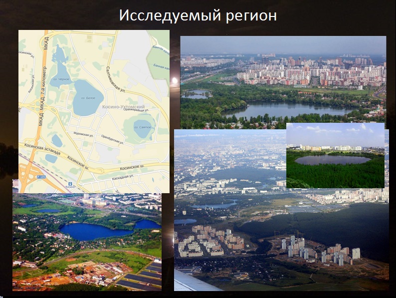 Защита дипломных работ по изучению природы Косино-Ухтомского района г. Москвы - фото 52