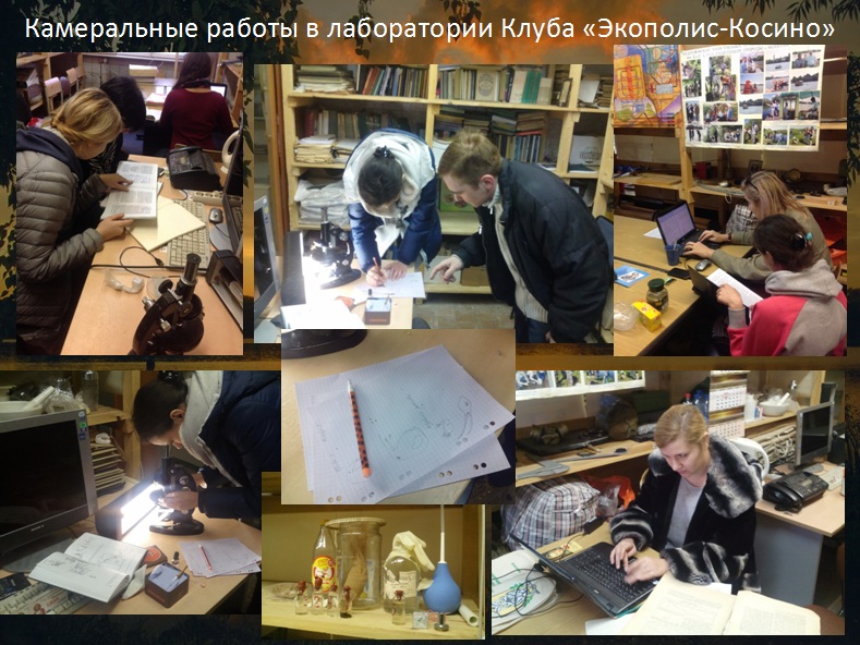 Защита дипломных работ по изучению природы Косино-Ухтомского района г. Москвы - фото 58