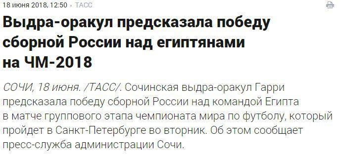 1:0. Ну наконец-то! Верим выдре! - фото 8