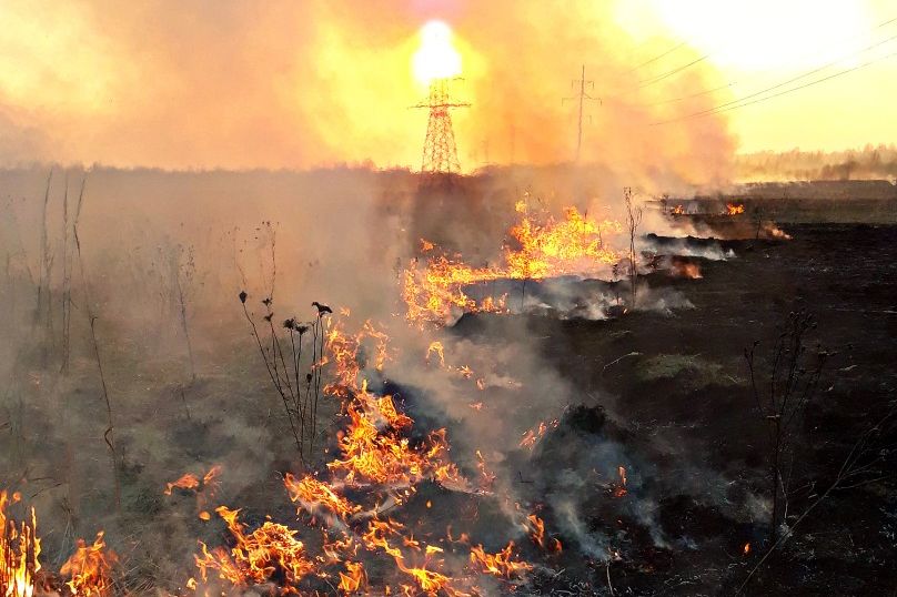Лесопожарная служба Смоленской области опровергает ложные «мифы» о пользе весенних пало - фото 1