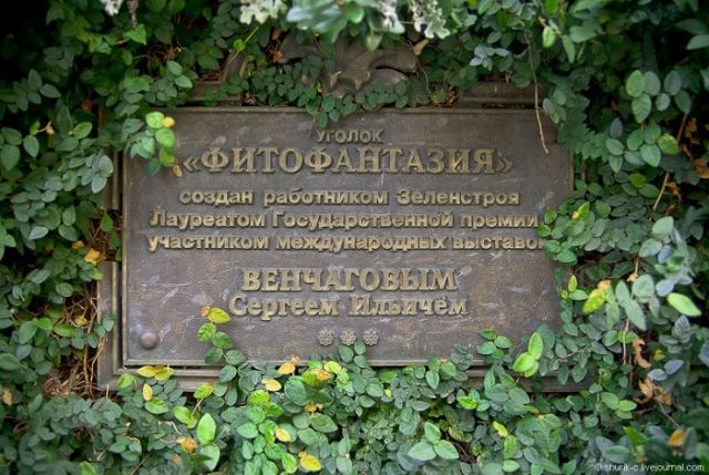 Процветающий зеленый уголок Сочи «Фитофантазия» - дань памяти Сергею Венчагову - фото 2