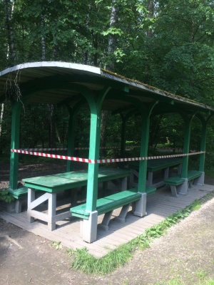 На природных территориях Москвы сохраняется запрет на пикники и шашлыки - фото 1