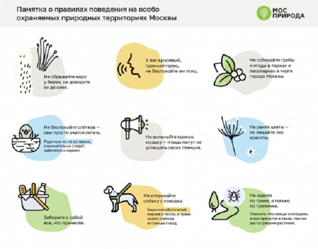 Мосприрода выпустила Памятку о правилах поведения на особо охраняемых природных территориях Москвы - фото 1