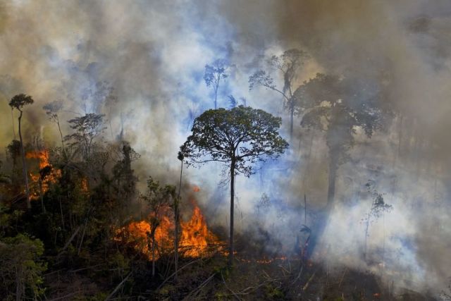 fire in Brazil
