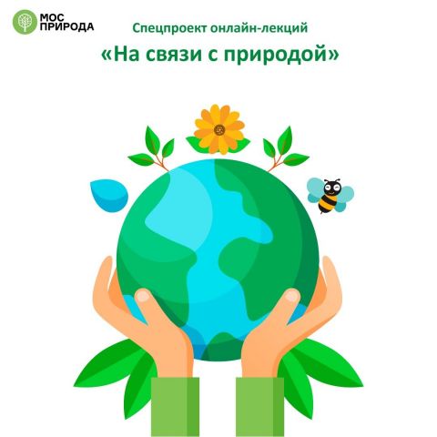Онлайн-лекция «Экология для «чайников» пройдет 27 мая в рамках спецпроекта «На связи с природой» - фото 1