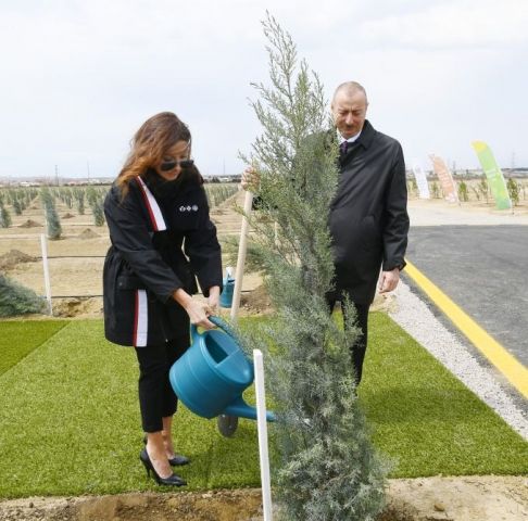 Президентская чета посадила деревья в честь дня рождения Гейдара Алиева - фото 2