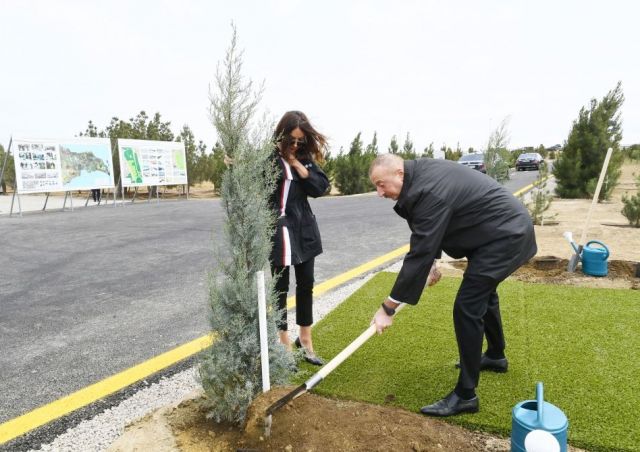 Президентская чета посадила деревья в честь дня рождения Гейдара Алиева - фото 3