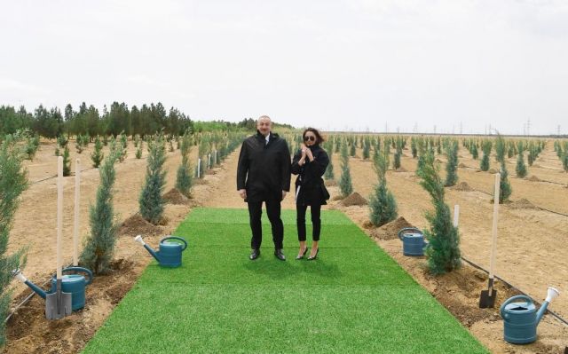Президентская чета посадила деревья в честь дня рождения Гейдара Алиева - фото 4