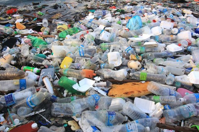 Решение проблемы загрязнения окружающей среды пластиком спасет мир от экологической катастрофы - фото 1