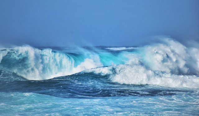 В 2019 году зафиксирован температурный рекорд Мирового океана - фото 1