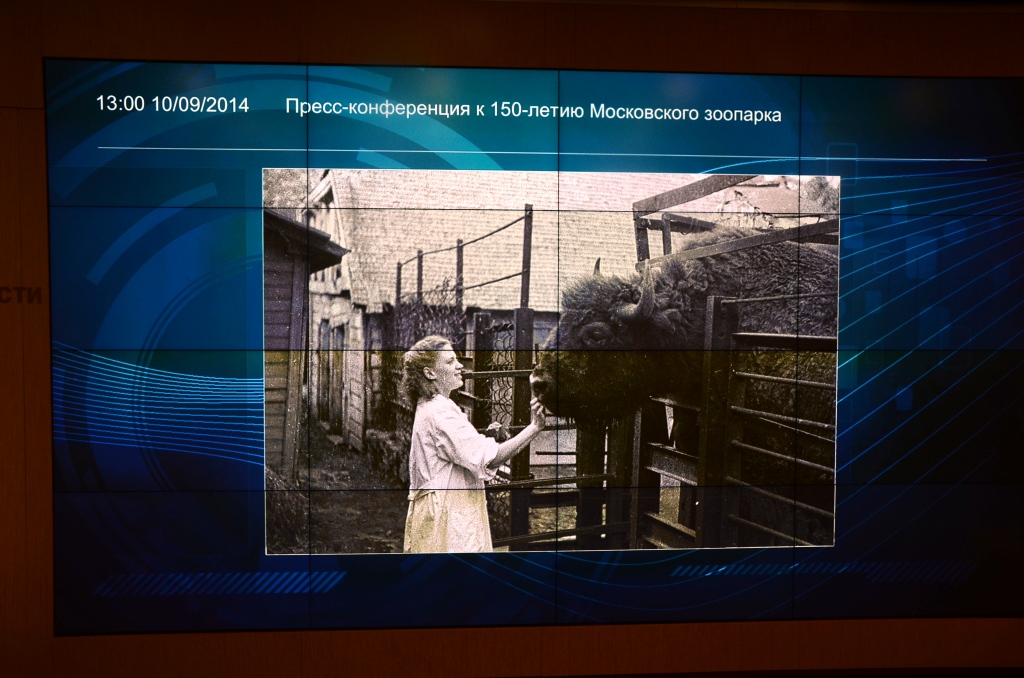  150  лет Московскому зоопарку  - фото 18