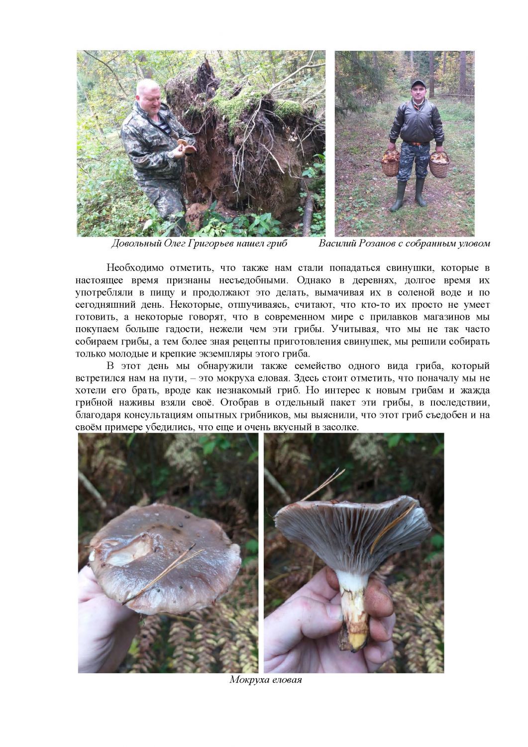 По следам грибных троп, или Повесть о похождениях грибников-любителей - фото 6
