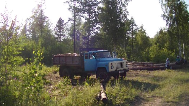 Лесная амнистия: круговая порука воровства на ничейной территории - фото 15