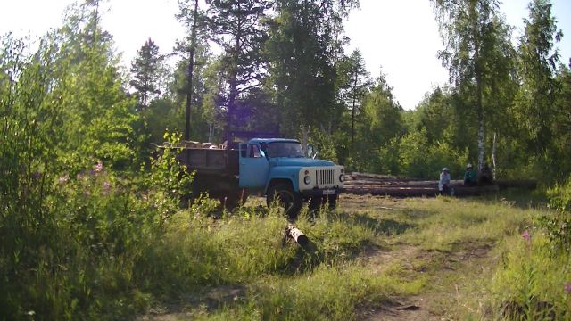 Лесная амнистия: круговая порука воровства на ничейной территории - фото 23