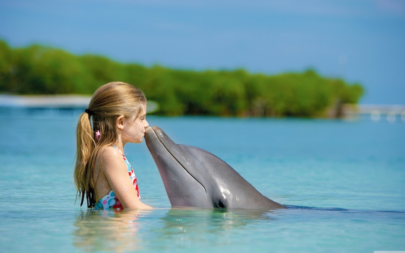 Отстоят ли дельфинов в Челябинске?  - фото 2