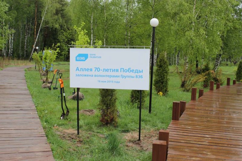 В национальном парке «Лосиный остров» заложили «Аллею Победы»  - фото 7