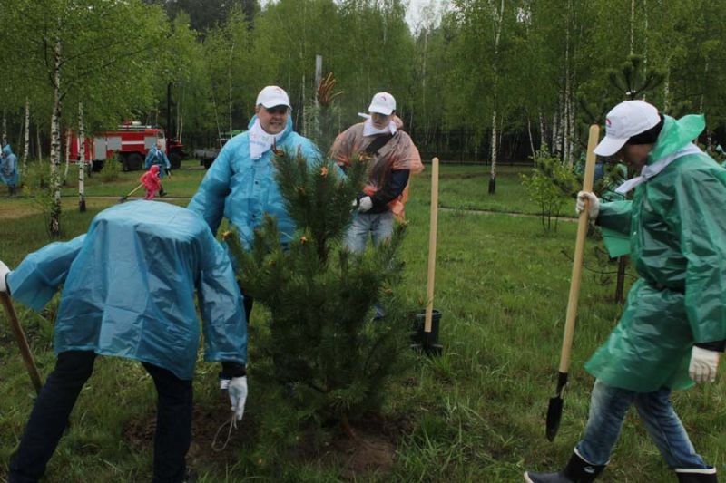 В национальном парке «Лосиный остров» заложили «Аллею Победы»  - фото 8