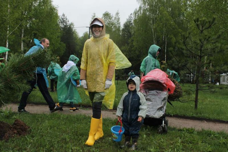 В национальном парке «Лосиный остров» заложили «Аллею Победы»  - фото 6