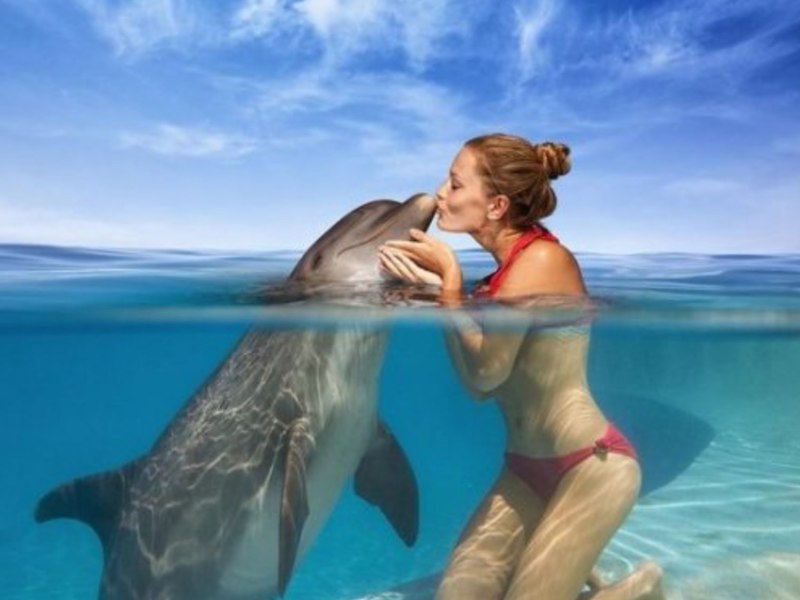 Отстоят ли дельфинов в Челябинске?  - фото 3