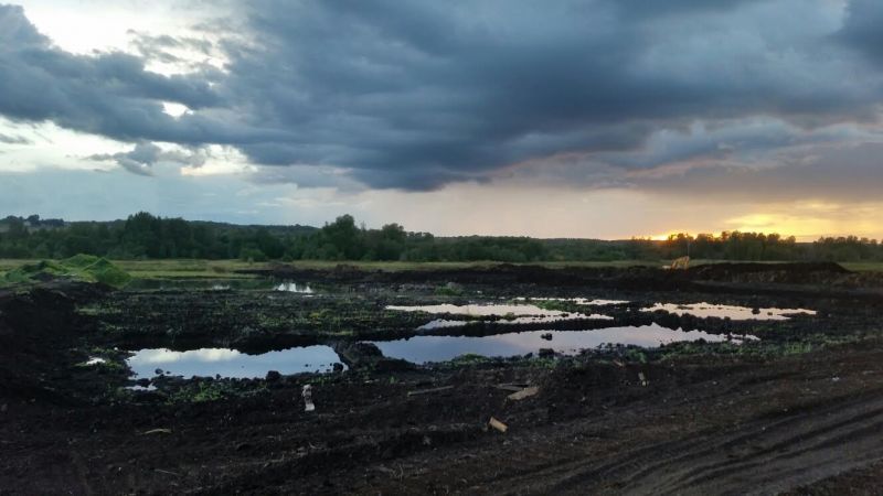 В Дмитровском районе пресечена незаконная добыча торфа - фото 2