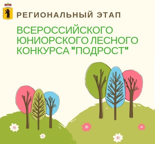 В Ярославле подведены итоги регионального этапа юниорского лесного Всероссийского конкурса «Подрост» - фото 1