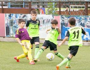 1440685123 kozhanyy-myach