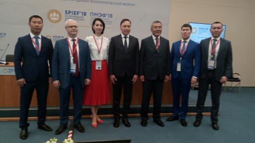 ПМЭФ-2018: Солнечные электростанции и  популяция сайгаков  - фото 1