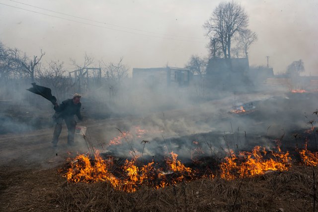 Пожар уничтожил семнадцать домов  - фото 2