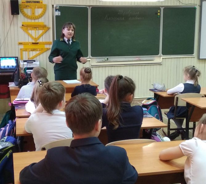 «Что я знаю о лесе и профессиях, связанных с ним» - фото 1