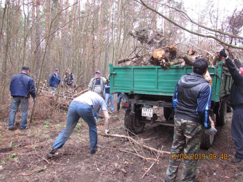 Воронежские лесники привели в пожарную безопасность территорию вокруг детского лагер - фото 1